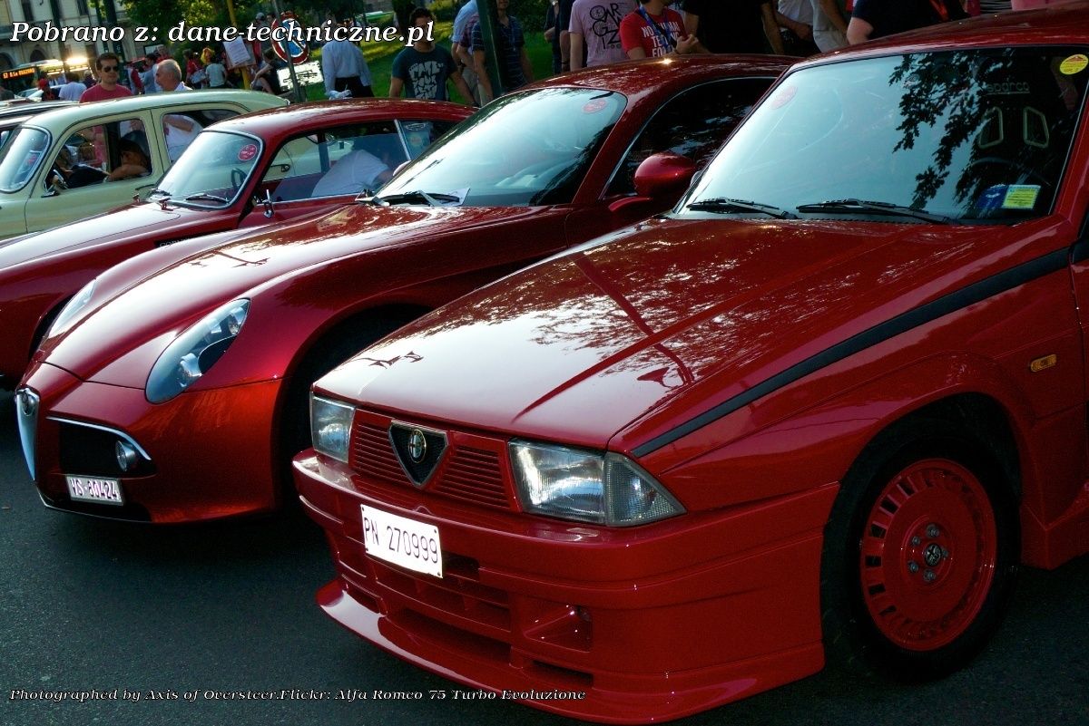 Alfa Romeo 75 162 B na dane-techniczne.pl