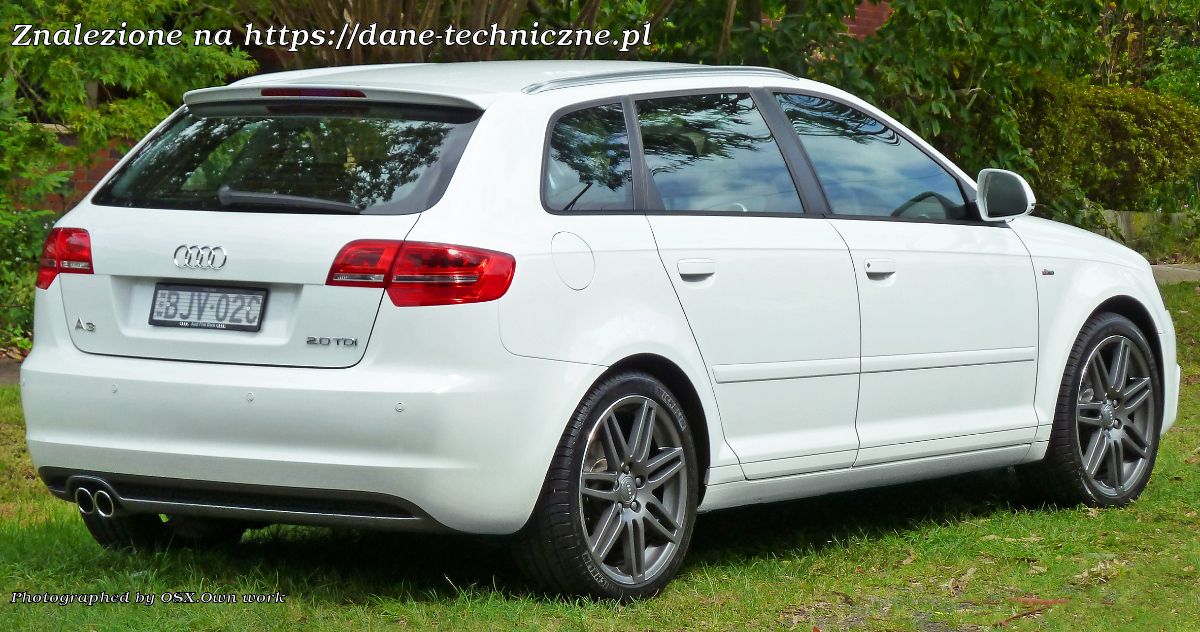 Audi A3 8P na dane-techniczne.pl